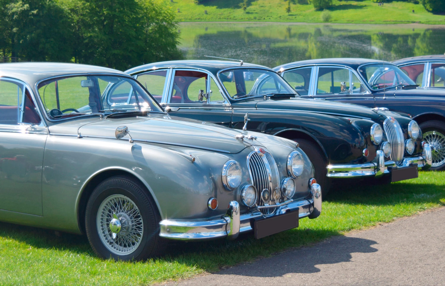 Image shows a line of classic Jaguars in a field